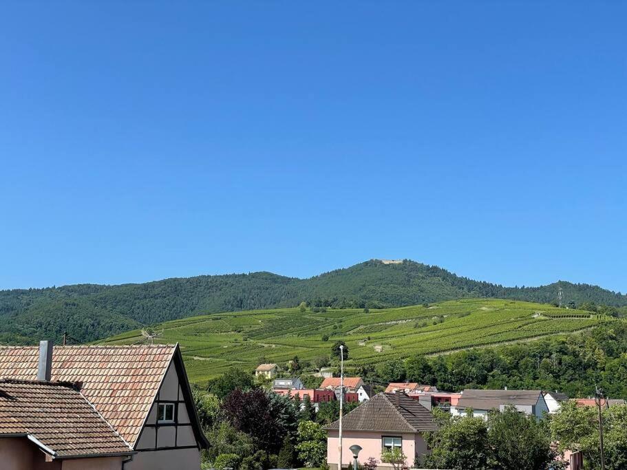 A2 Pas De Colmar Terrasse,Parking Apartment วินเซินไฮม์ ภายนอก รูปภาพ