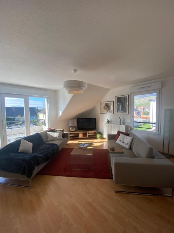 A2 Pas De Colmar Terrasse,Parking Apartment วินเซินไฮม์ ภายนอก รูปภาพ