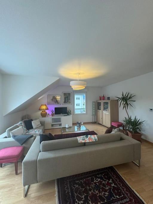 A2 Pas De Colmar Terrasse,Parking Apartment วินเซินไฮม์ ภายนอก รูปภาพ