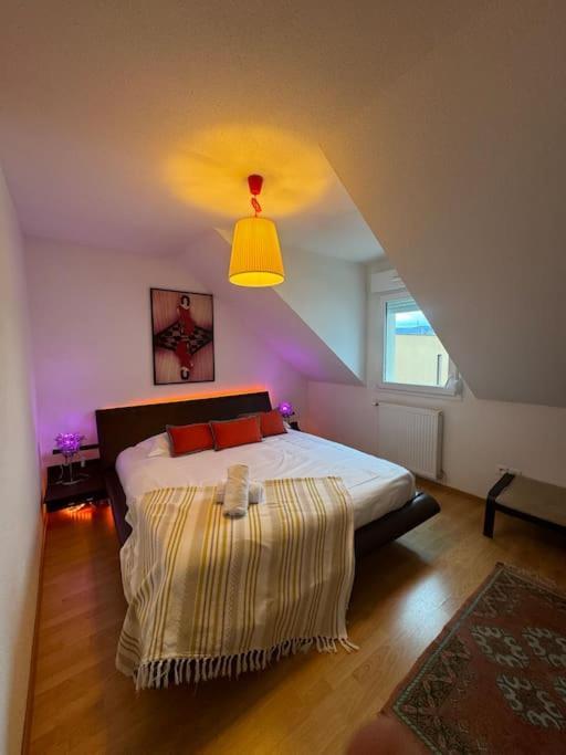 A2 Pas De Colmar Terrasse,Parking Apartment วินเซินไฮม์ ภายนอก รูปภาพ