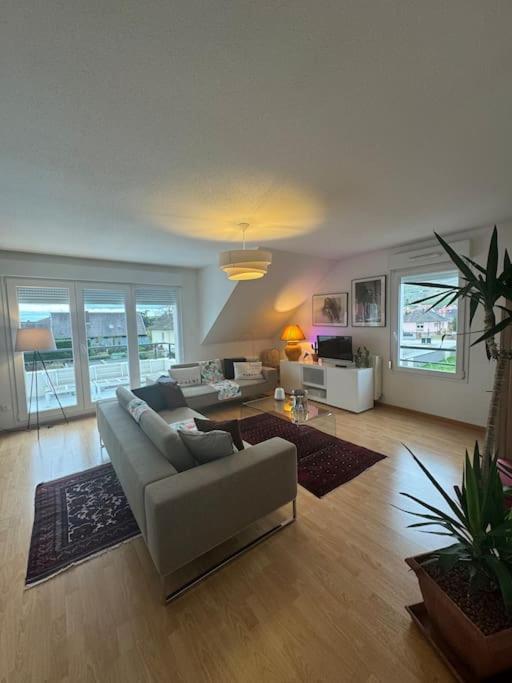 A2 Pas De Colmar Terrasse,Parking Apartment วินเซินไฮม์ ภายนอก รูปภาพ
