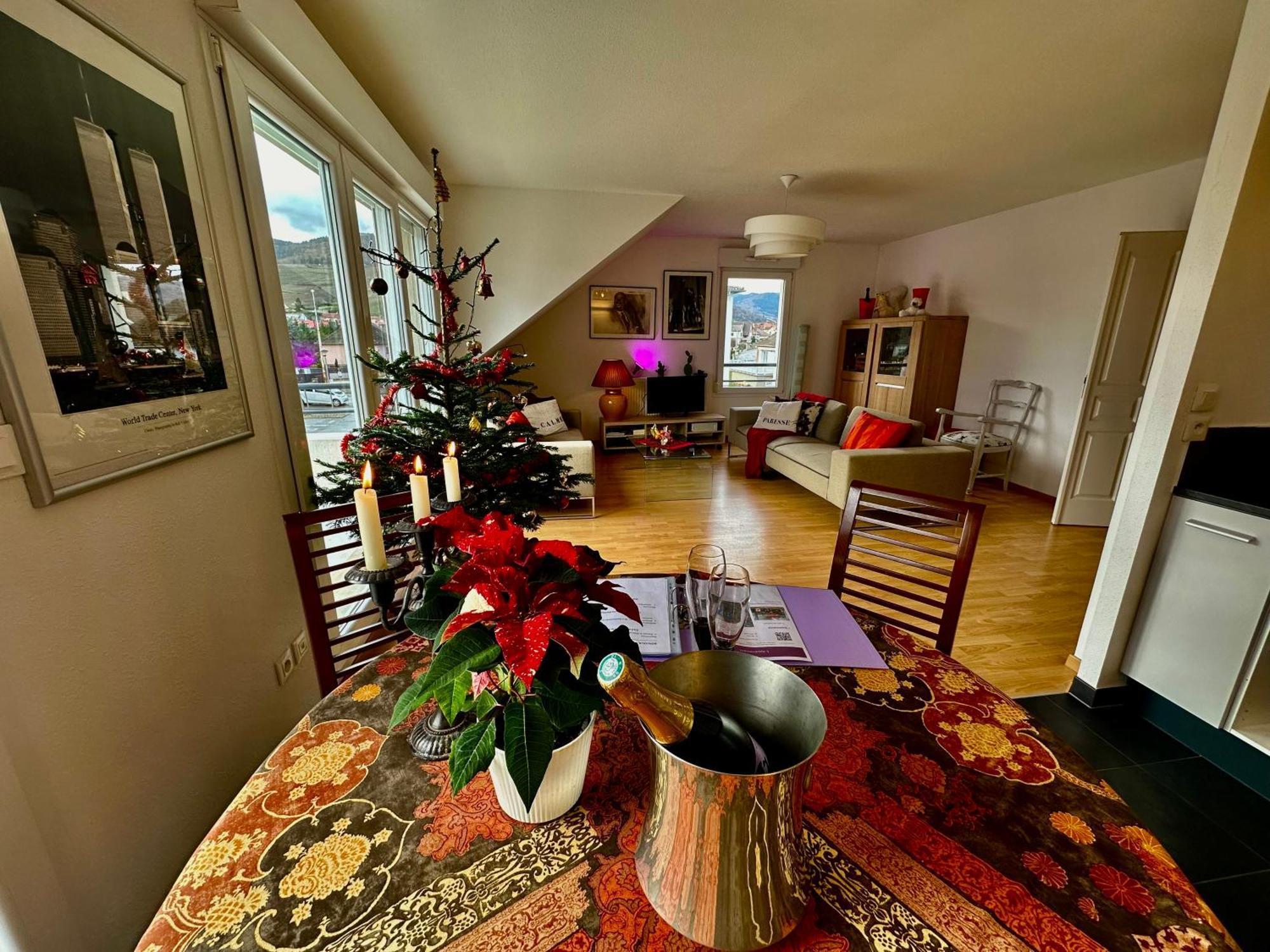 A2 Pas De Colmar Terrasse,Parking Apartment วินเซินไฮม์ ภายนอก รูปภาพ